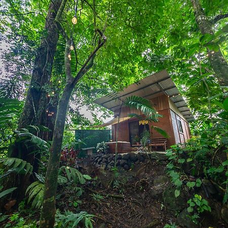 La Fortuna The Frog House 아파트 외부 사진