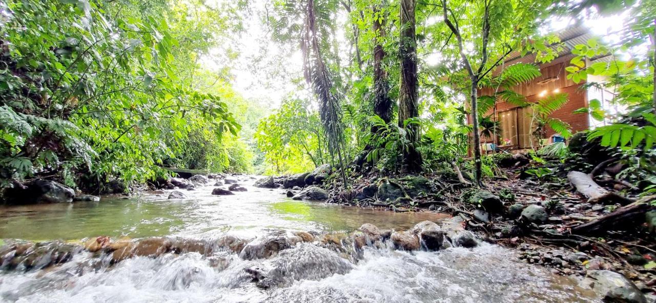 La Fortuna The Frog House 아파트 외부 사진