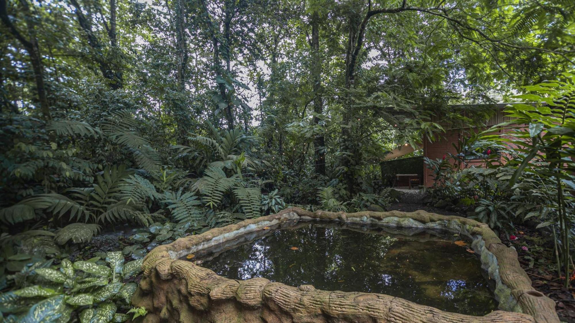 La Fortuna The Frog House 아파트 외부 사진