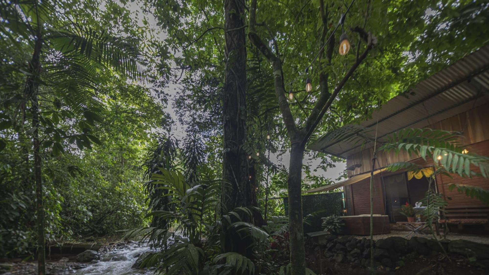 La Fortuna The Frog House 아파트 외부 사진
