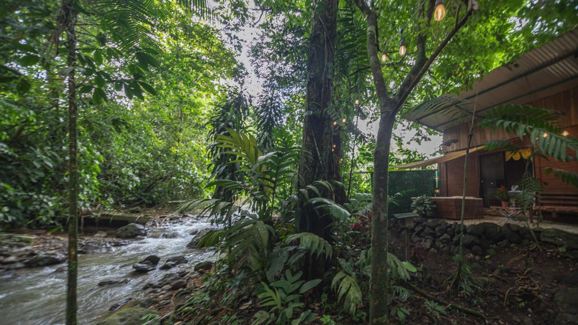 La Fortuna The Frog House 아파트 외부 사진