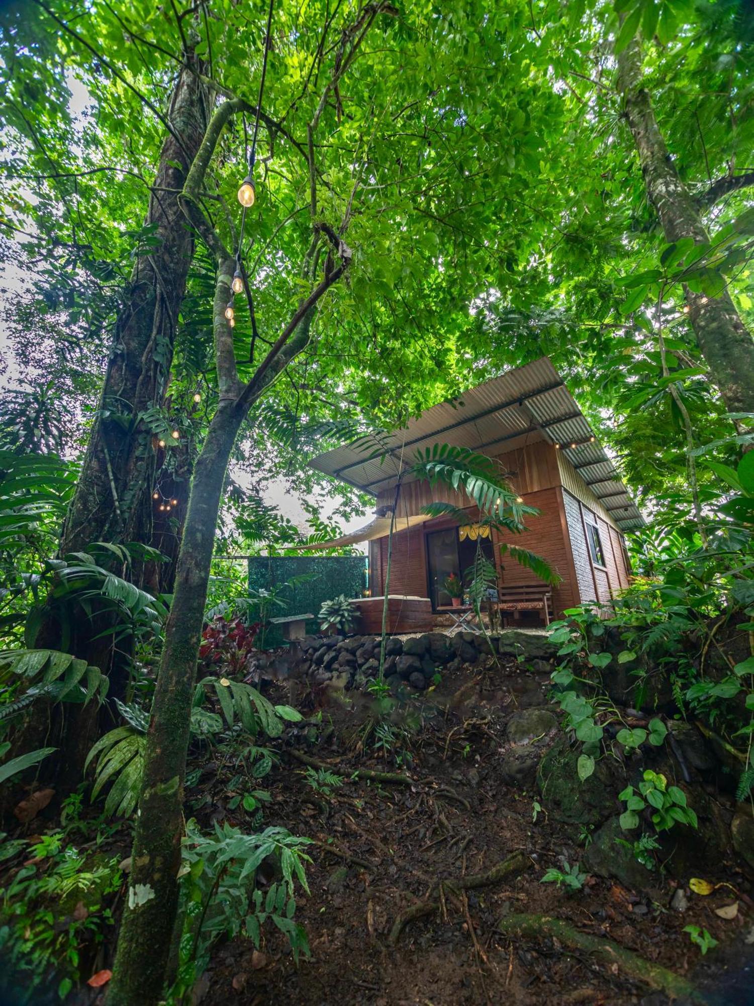 La Fortuna The Frog House 아파트 외부 사진